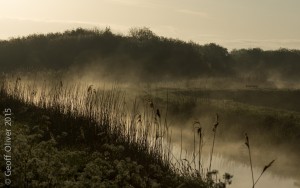 Wicken Fen  