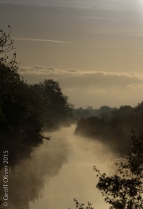 Wicken Fen  