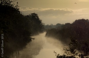 Wicken Fen  